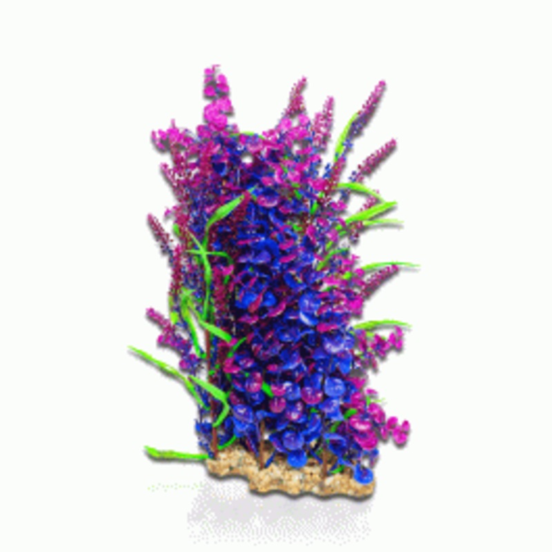 Aqua One Vibrance Blue Bacopa Equisetum