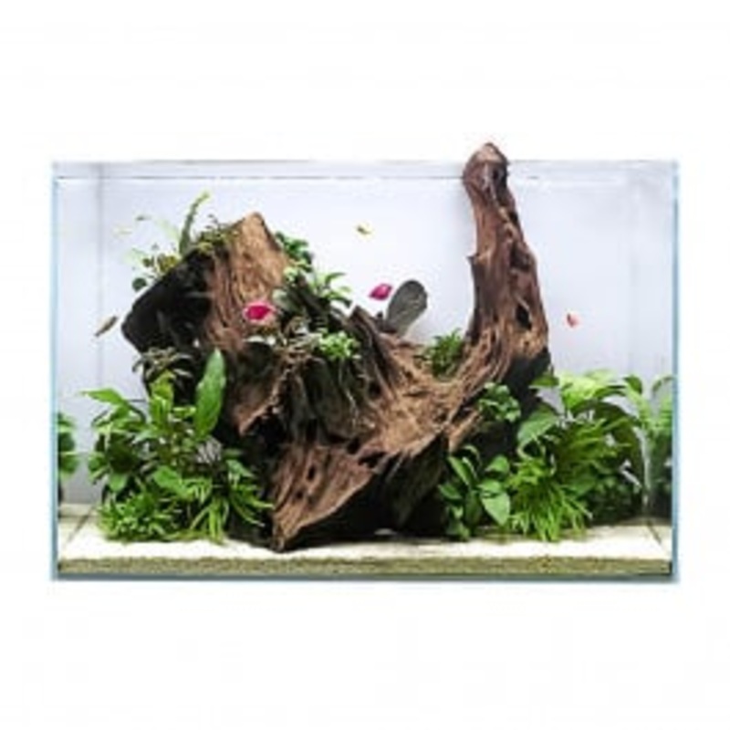 Swell Aqua Oasis Aquarium 60cm