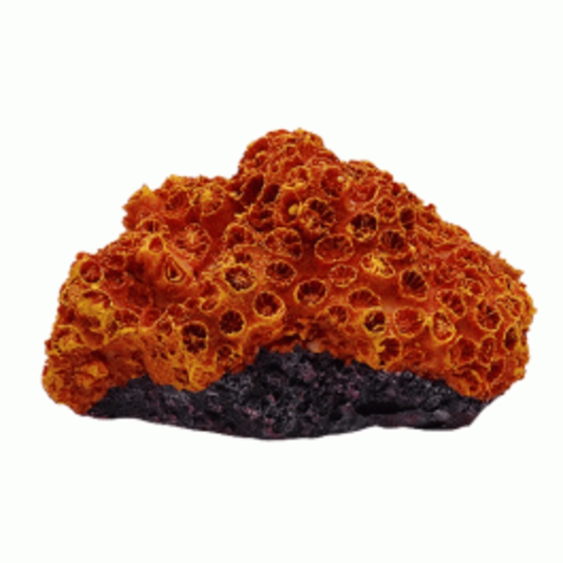 Swell Orange Resin Brain Coral