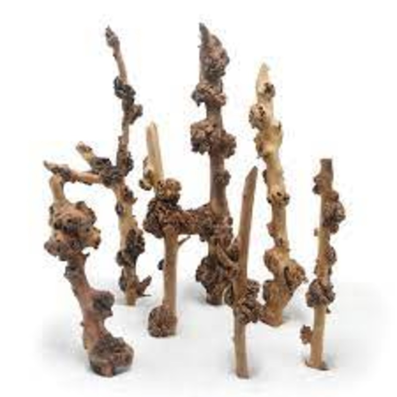 Ap Natural Products Medium Sava Wood