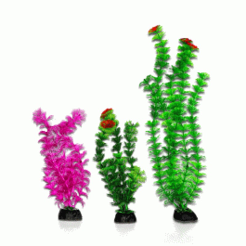 Aqua One Ecoscape Bright – Ambulia