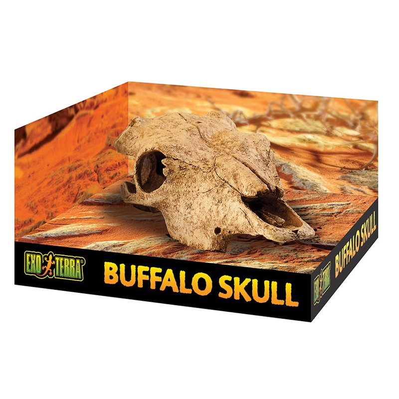 Exo Terra Buffalo Skull