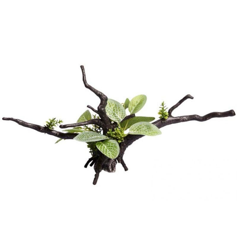 Aqua One Ecoscape Calathea Driftwood (28447)
