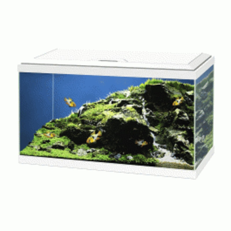 Ciano Aquarium 60 Plus