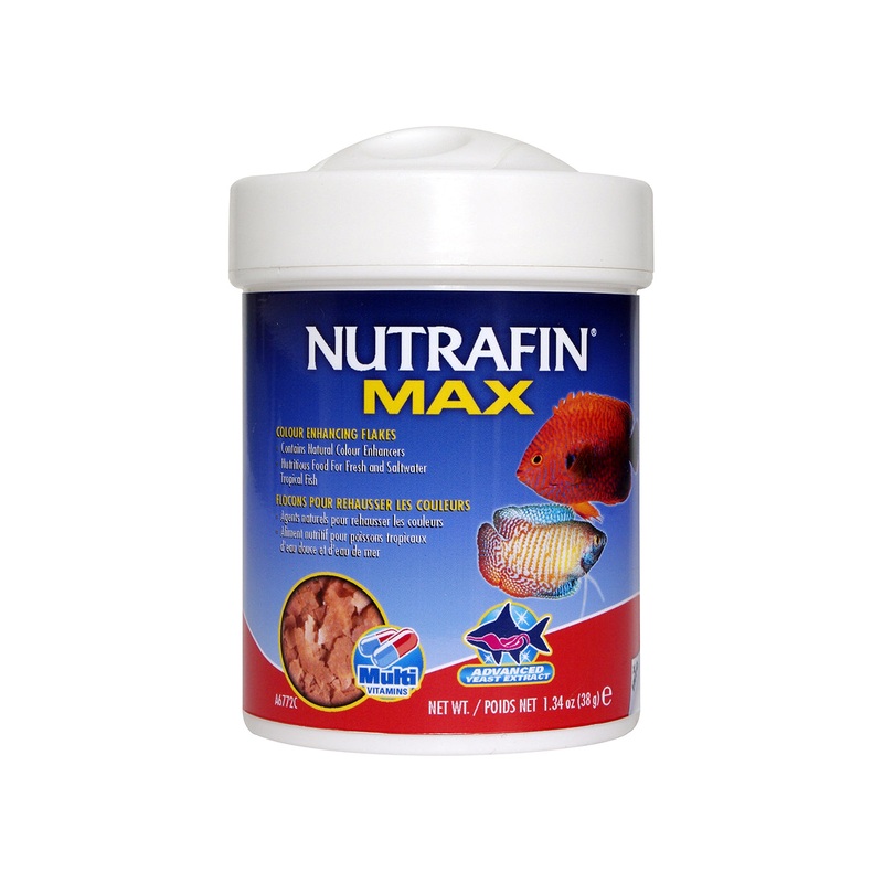 Nutrafin Max Trop Color Enhance Flakes
