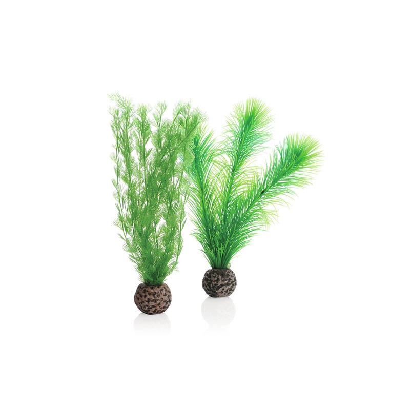biOrb Feather Fern Set Green