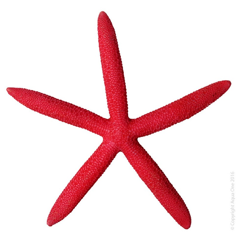 Aqua One Hermit Crab Starfish Red 15×13.8×1.7cm (37179r)
