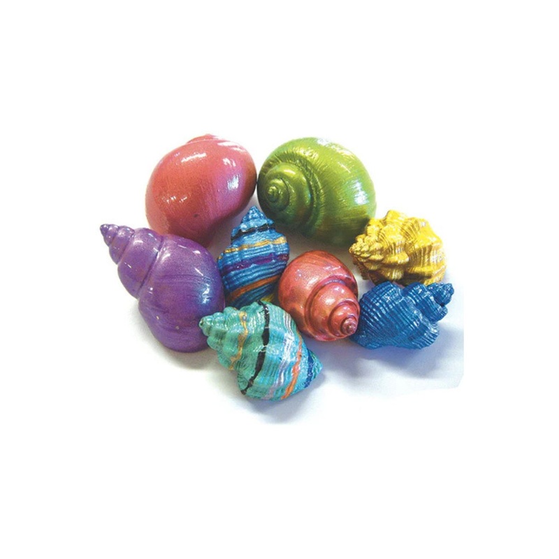 Hermit Crab Shell – Painted