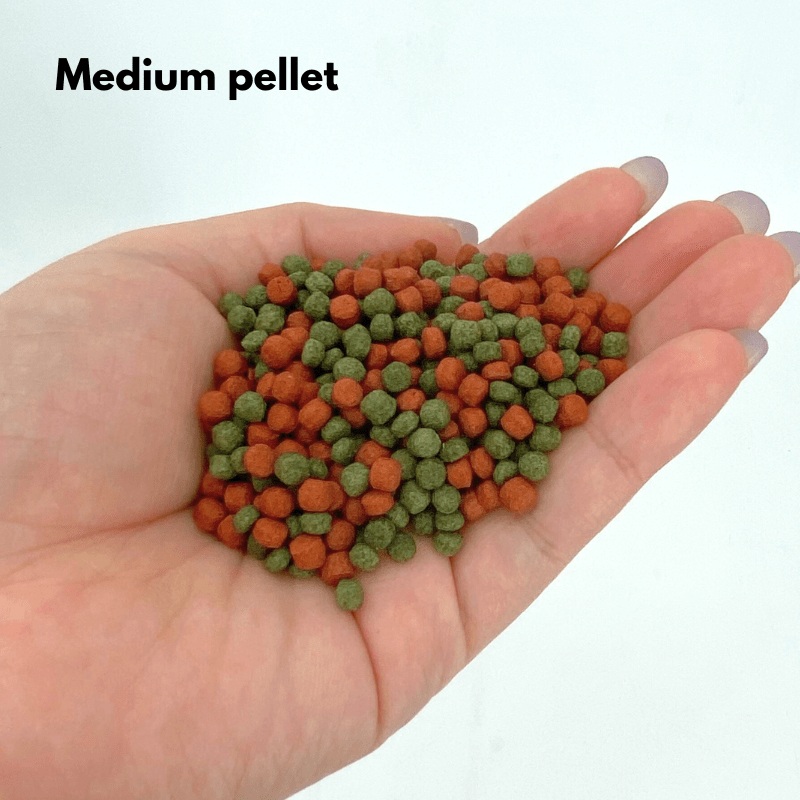 ANS Fish Feed (MIX COLOURED) small/medium 1000g