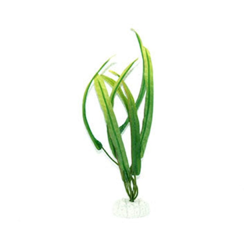 Aqua Dekore Narrow Leaf Sword Silk Plant – discontinued