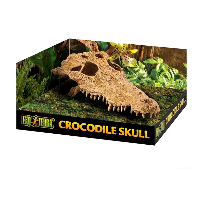 Exo Terra Crocodile Skull
