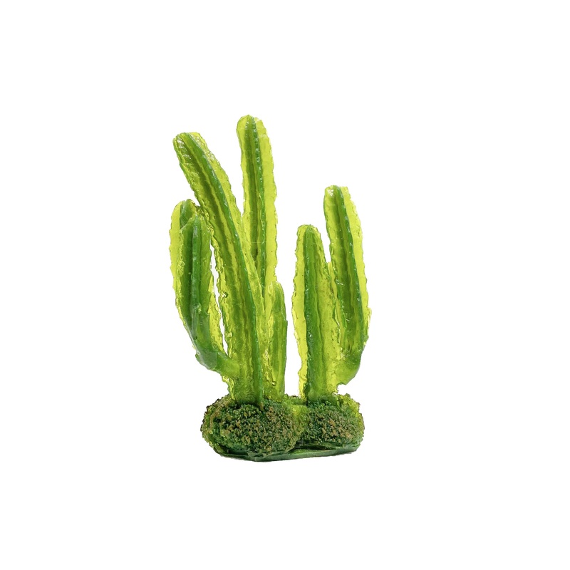 Reptile One Euphorbia Esitrea Cactus – discontinued
