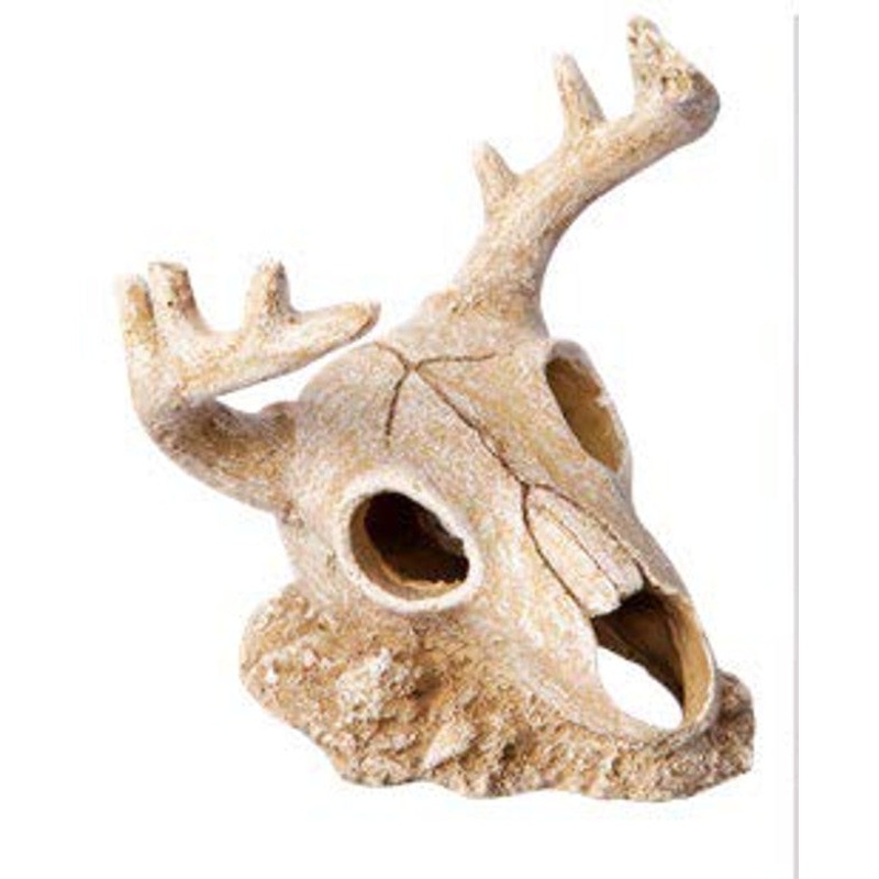 Ornament Deer Skull 14.5wx13.5×15.5cmh