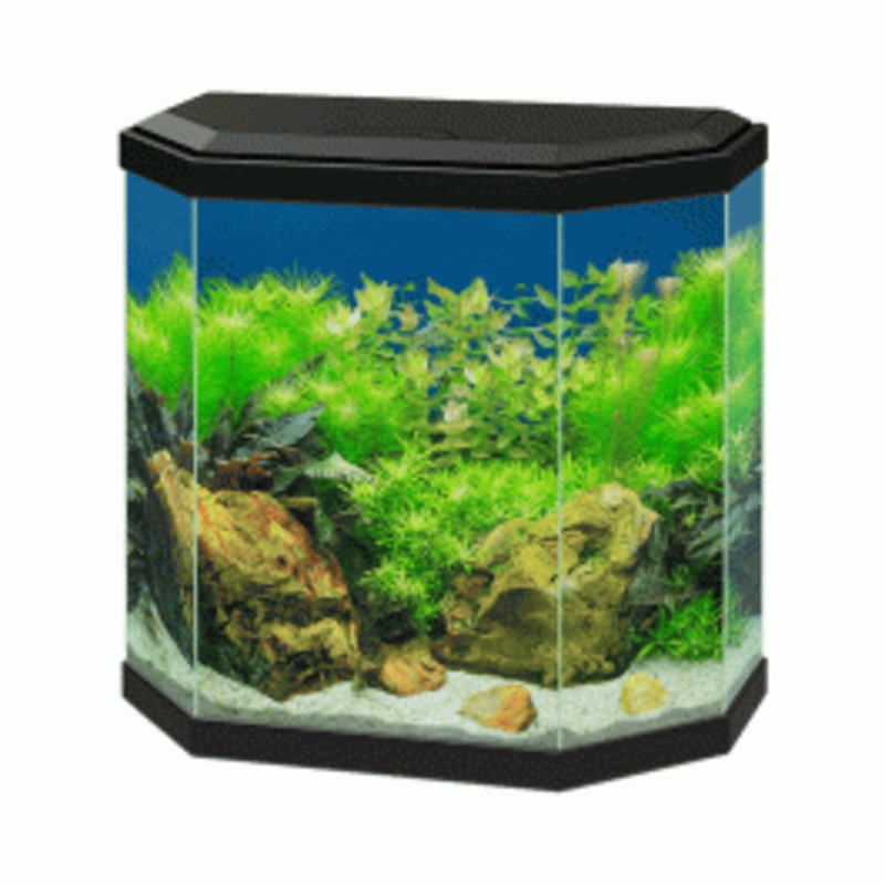 Ciano Aqua 30 Aquarium With LED Light