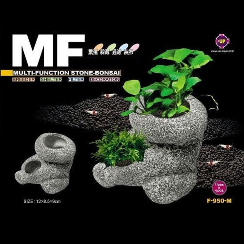 Up Aqua Stone Bonsai M