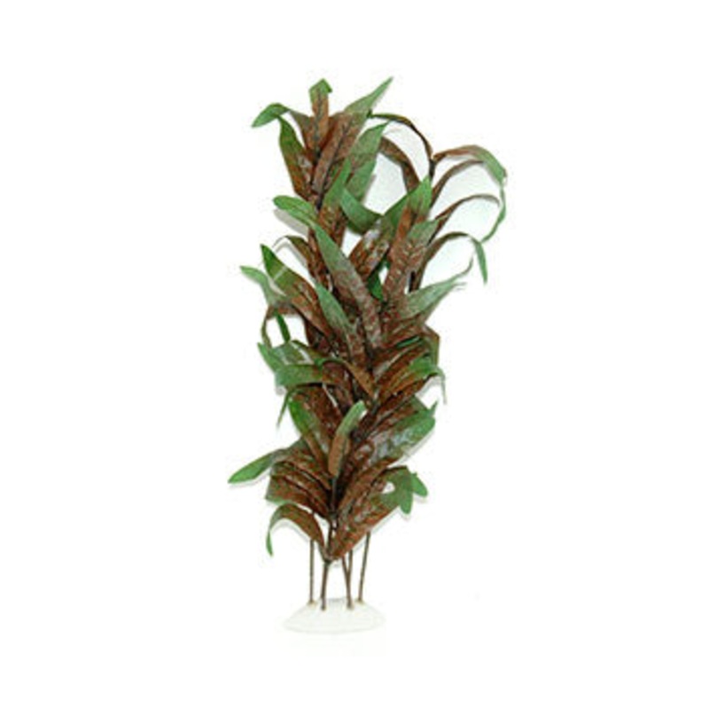 Aqua Dekore Red Telanthra Silk Plant – discontinued