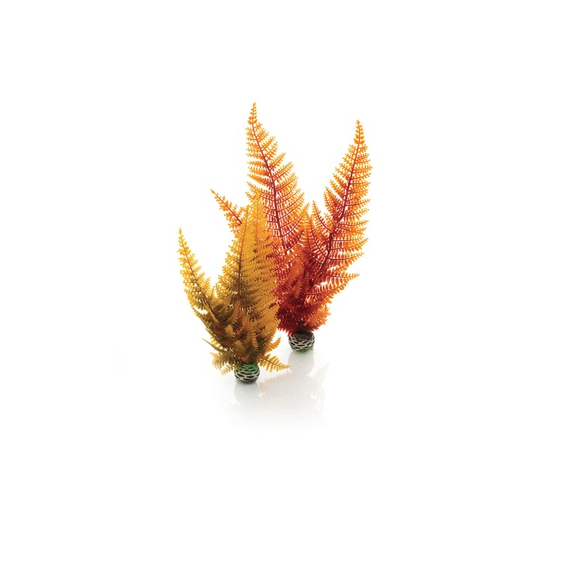 biOrb Autumn Fern (2 Set)