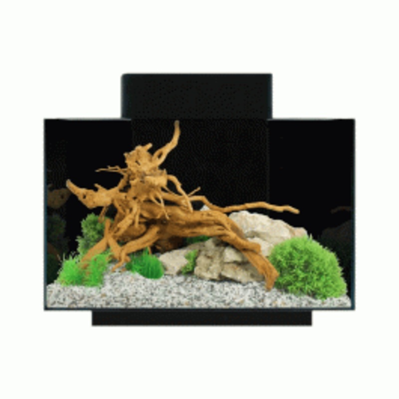 Aqua One Platform 21