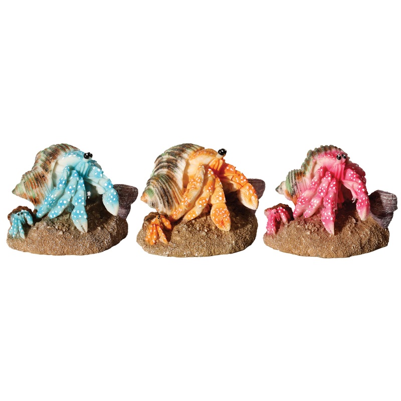 Hermit Crab Mother & Baby