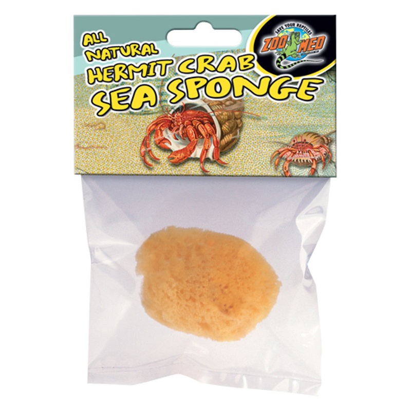 Hermit Crab Sponge