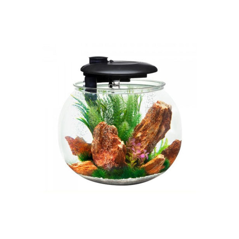Aqua Sphere 360 Circular Aquarium