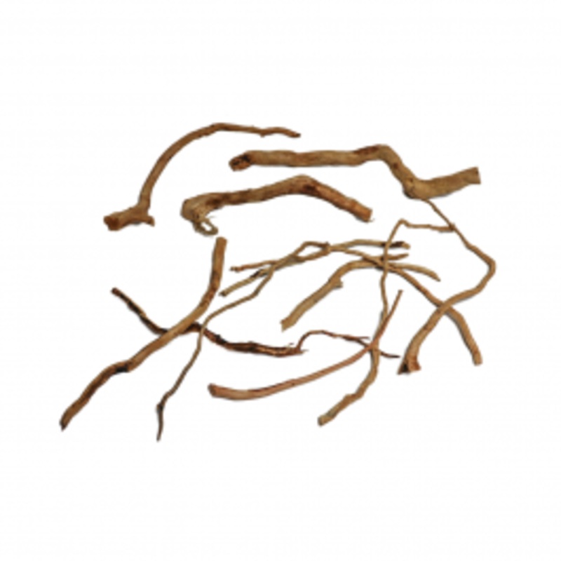 Aqua One Azalea Roots