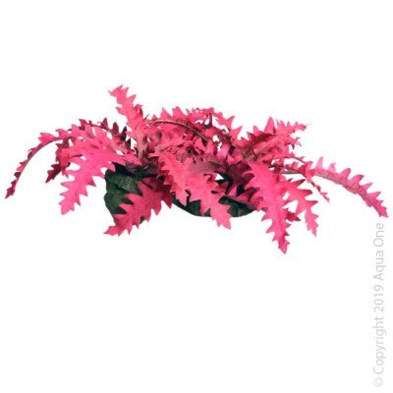Aqua One Ornament Rock With Red Trichomanes 34x26x14cmh (37897)