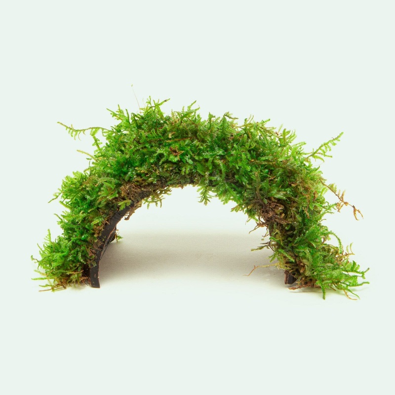 Christmas Moss Bridge Decor