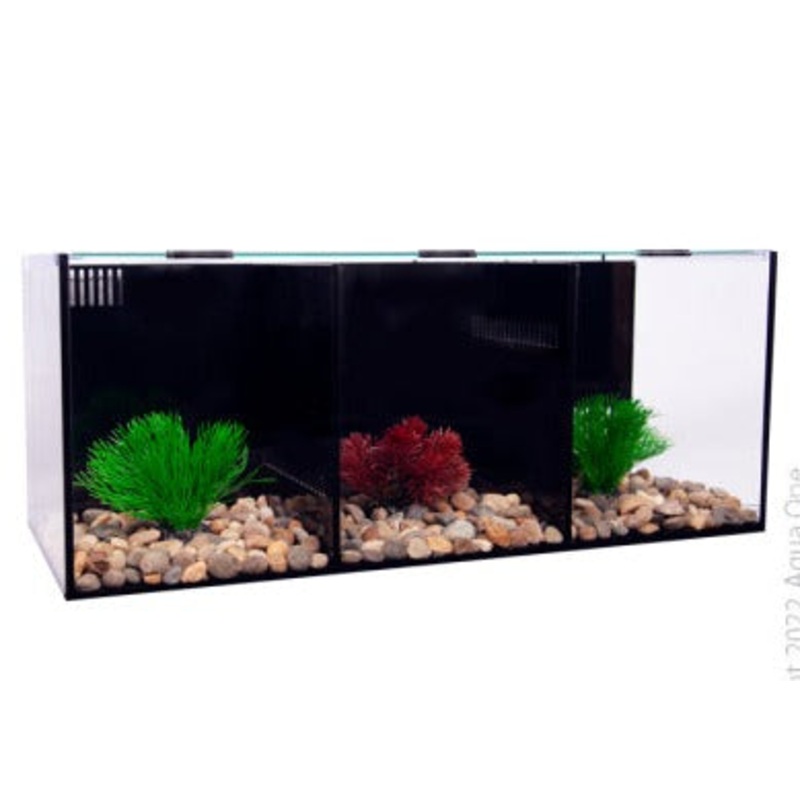 Betta Condo Trio 60x24x24cm