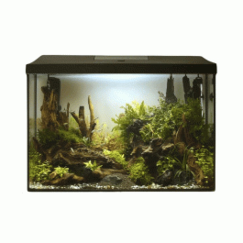 AquaEl Leddy XL 40 Aquarium Day and Night