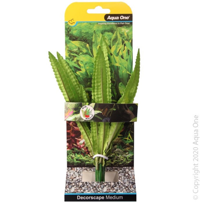 Aqua One Silk Plant African Onion Medium 20cm (24116)