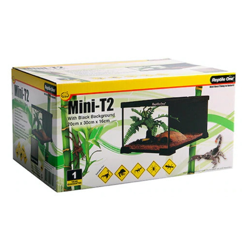 Mini T2 Glass Tank Wire Mesh Lid 20x30x16cm Black With Black Background