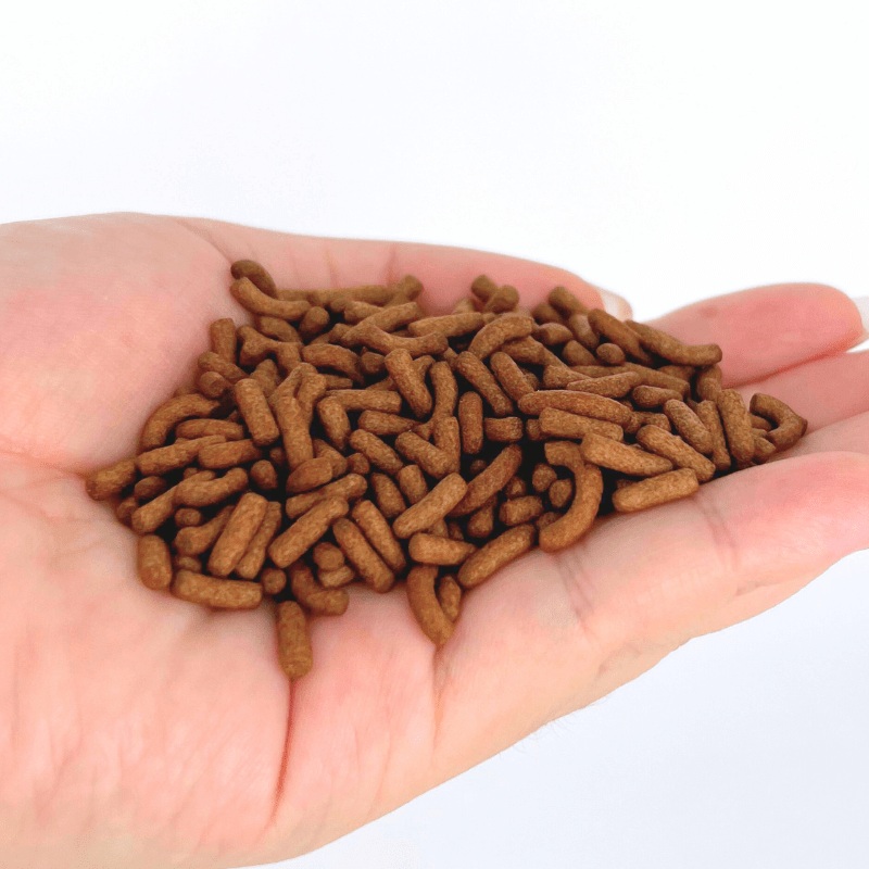 ANS Arowana Food Stick 800g (high protein with excellent colouration)