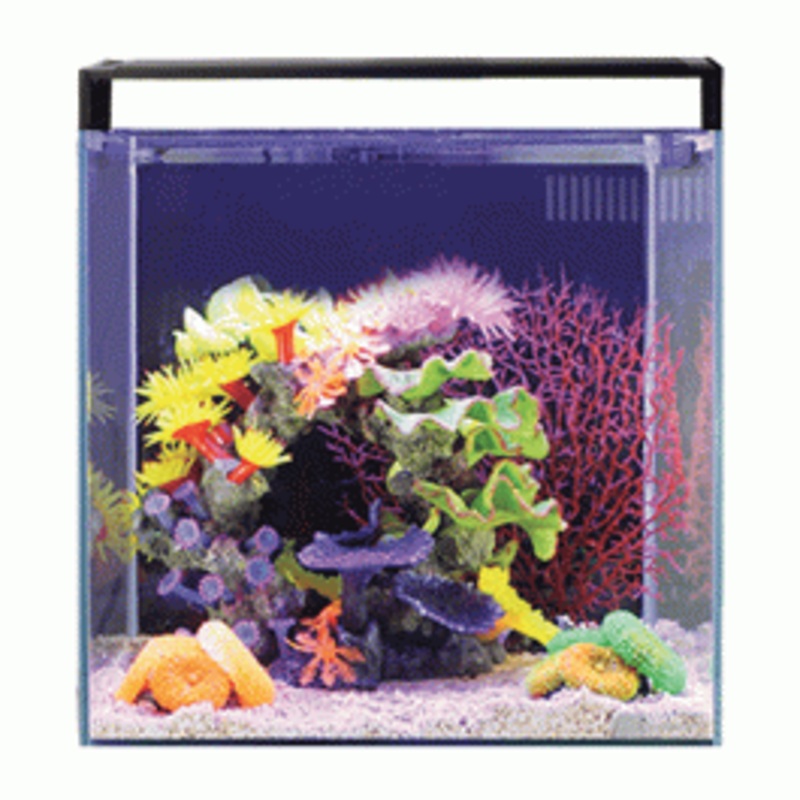 Aqua One NanoReef 35