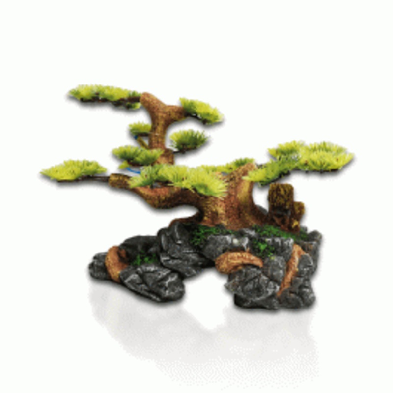 Aqua One Bonsai on Rock Bridge