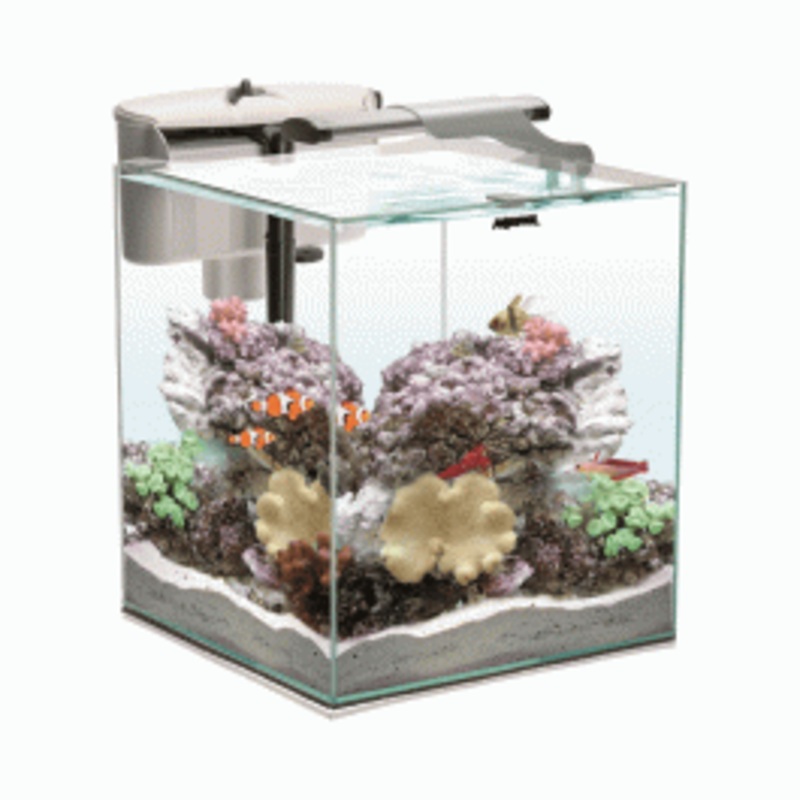 AquaEl NanoReef Duo 49 Litre