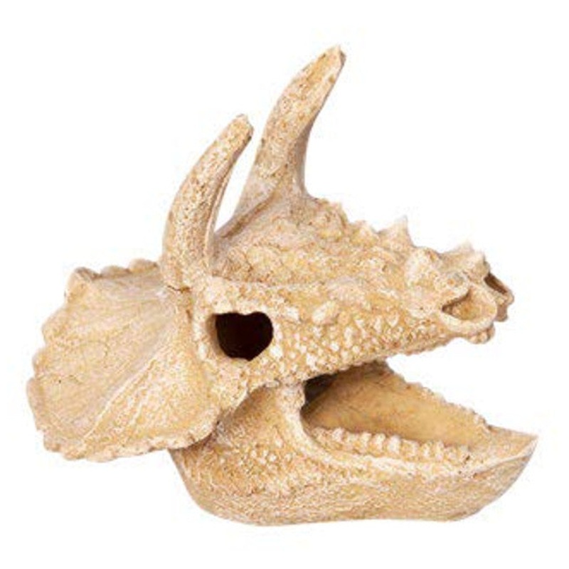Ornament Bisticeratops Skull 12wx14dx12cmh