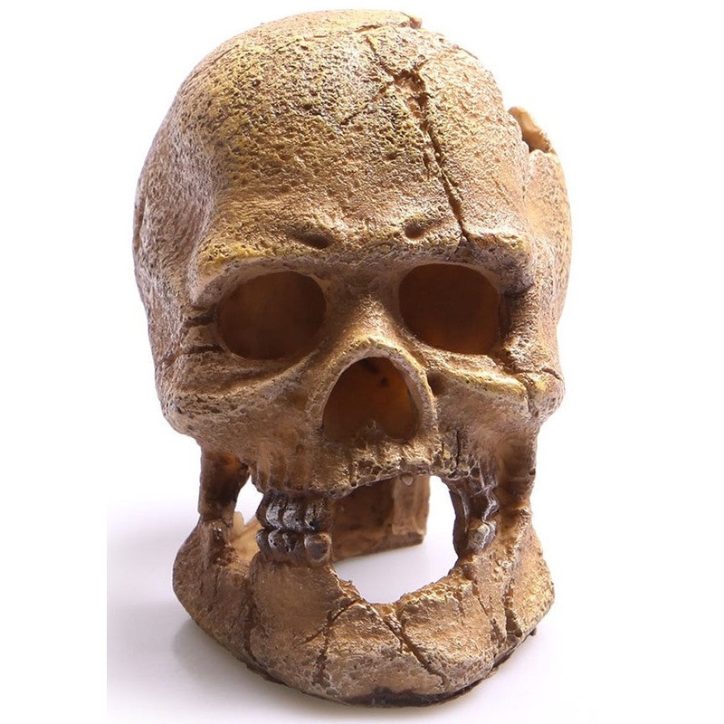 Aqua One Ornament Huamn Skull With Hole 13.5×9.5x13cm (36763)