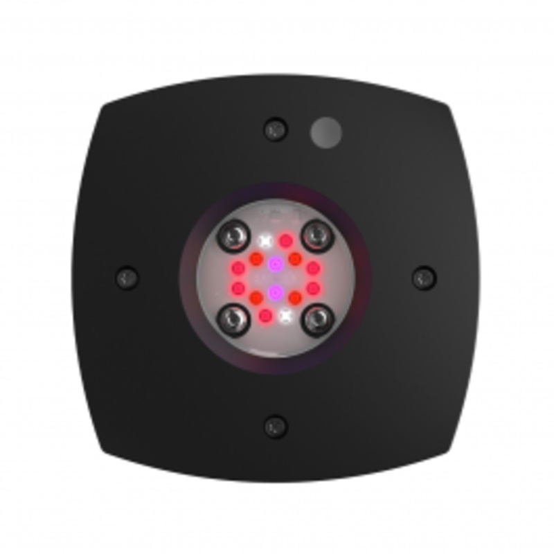 AI Prime 16HD Fuge LED Light