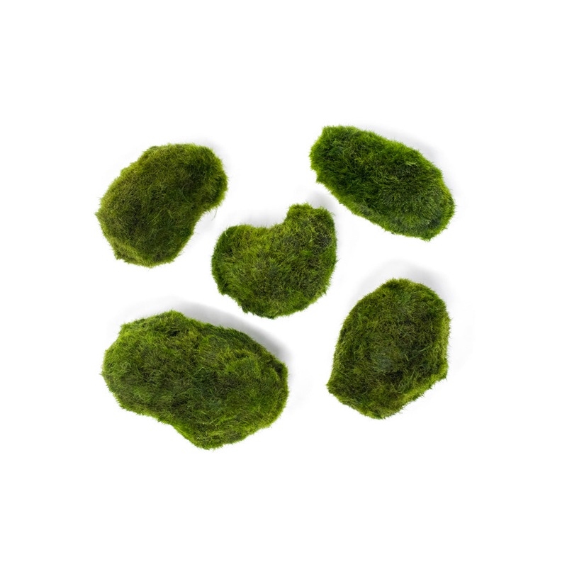Marimo Moss Pieces (0.5-1.5″)