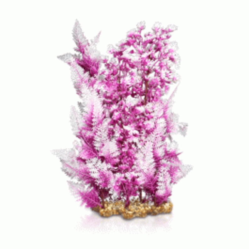 Aqua One Vibrance – Pink Elatine Hygrophila