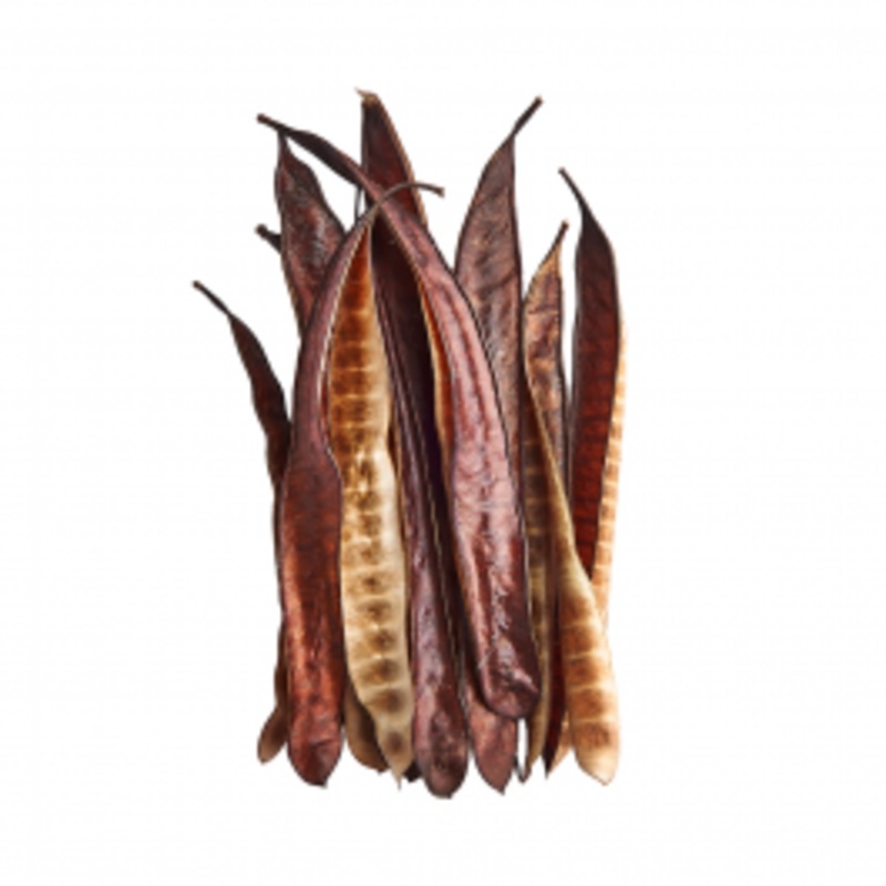 Swell Ipil Tree Pods