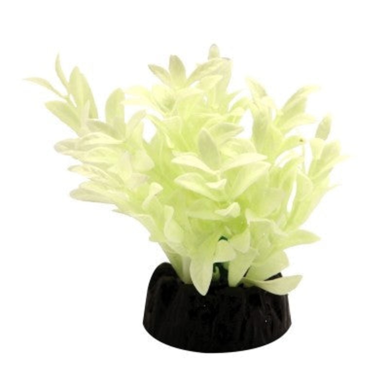 Aqua One Plastic Plant Glow In The Dark Hygro 5cm (36848)