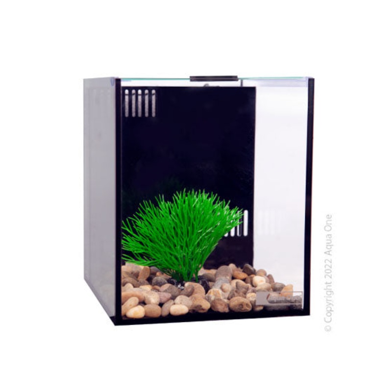 Betta Condo Mono 20x24x24cm